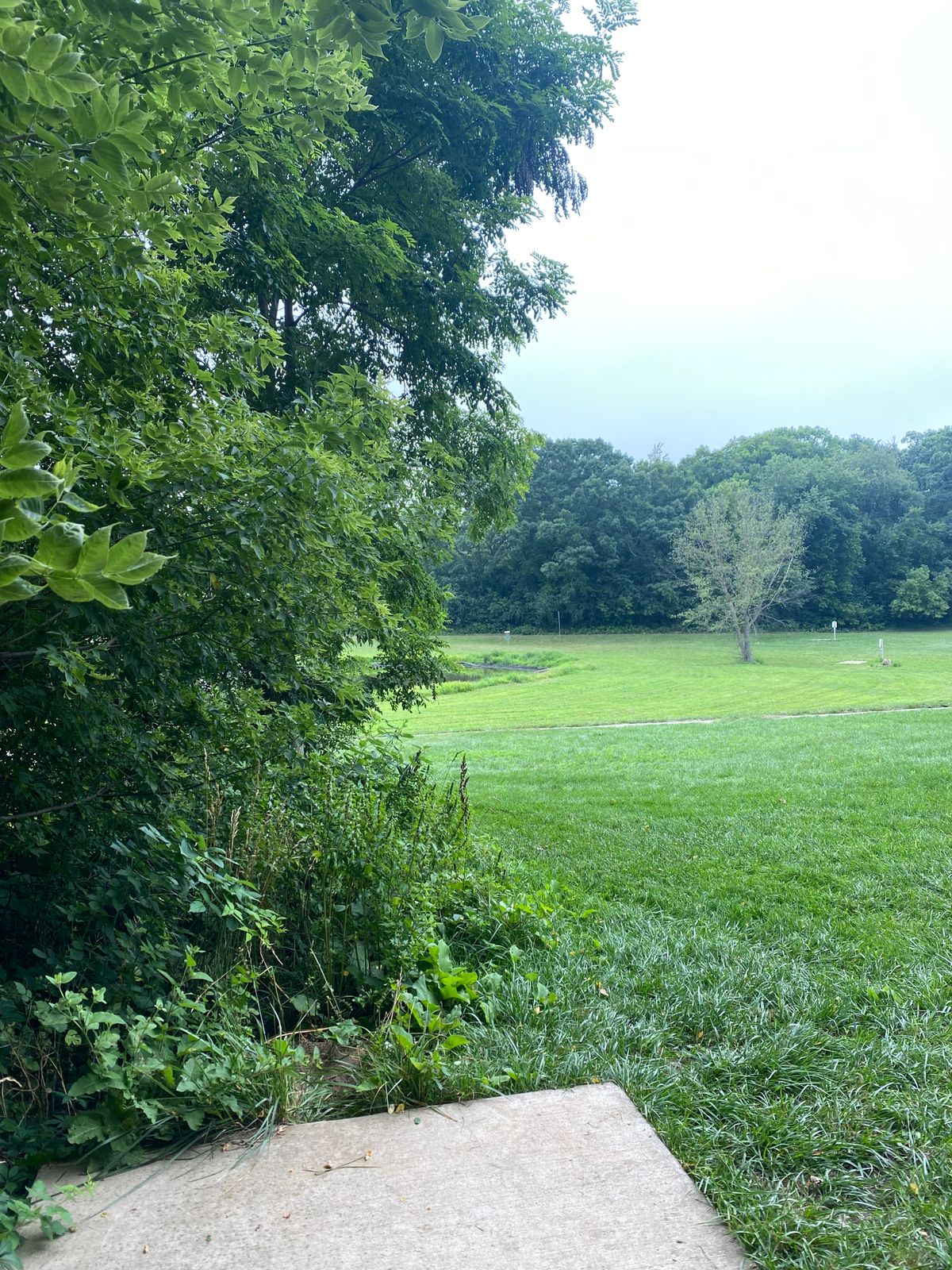 Hole 13 tee