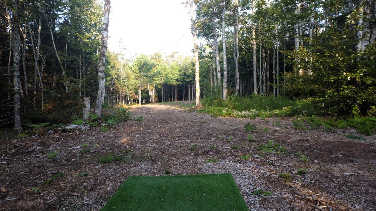 Hole 6 - tee.