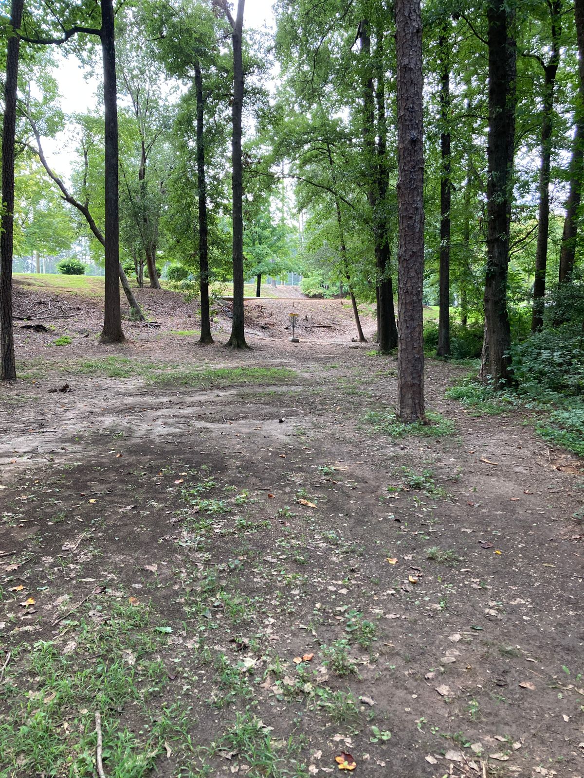 Hole 1 - basket