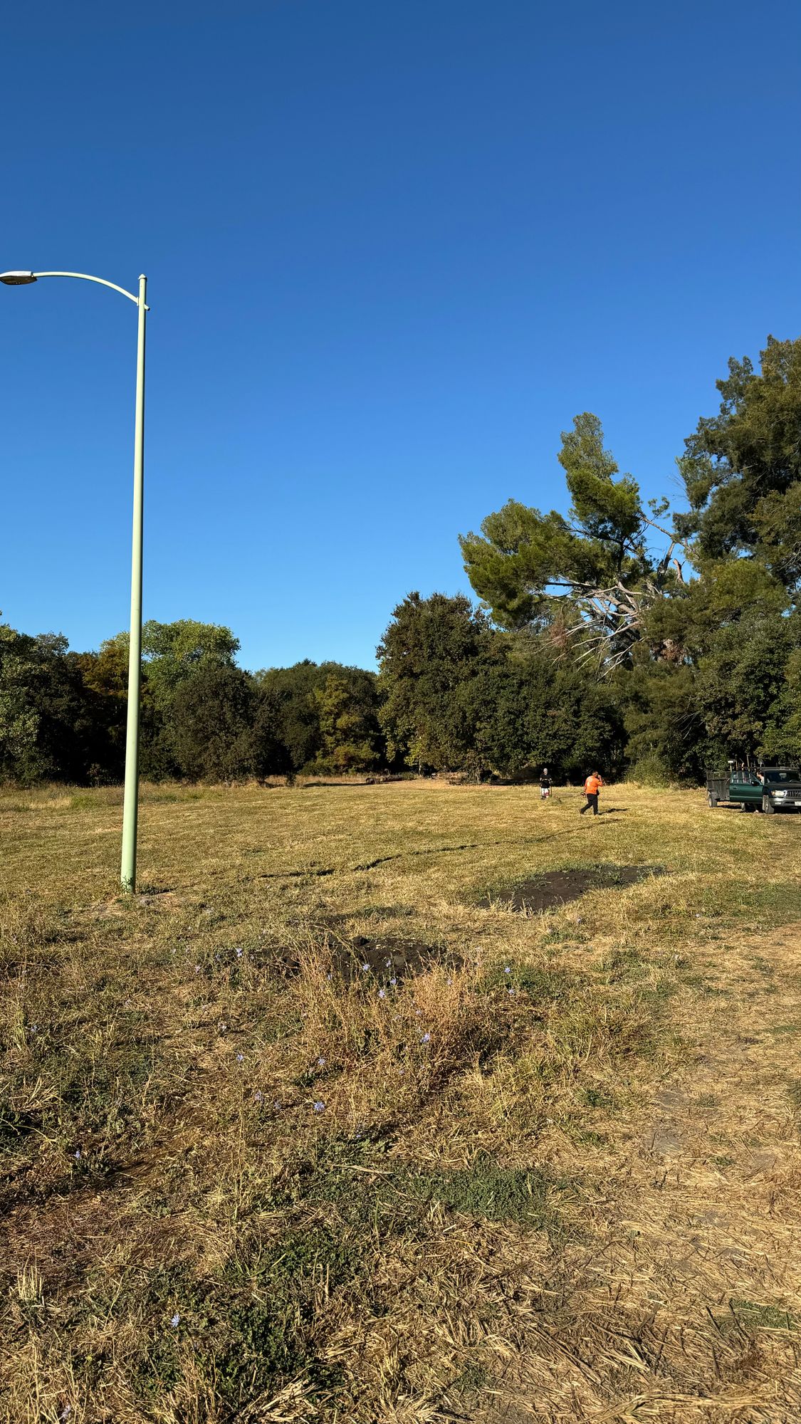 Hole 2 is mowed.