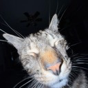 User avatar image