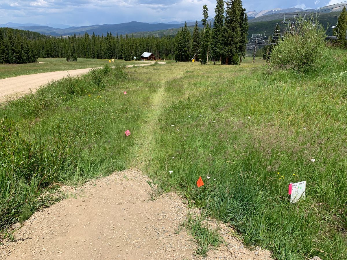 Hole #7 long box