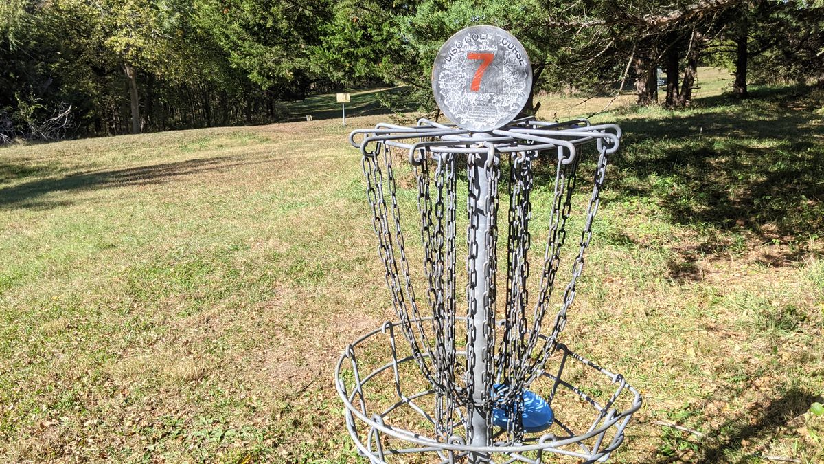 #7 Basket with #8 Tee beyond.