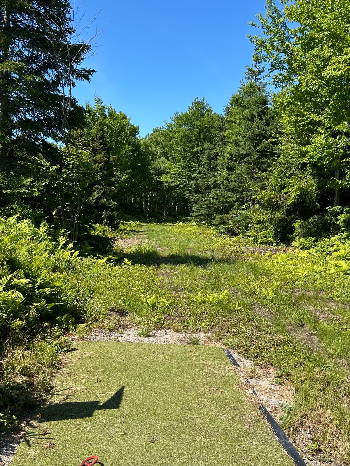 13 white fairway.