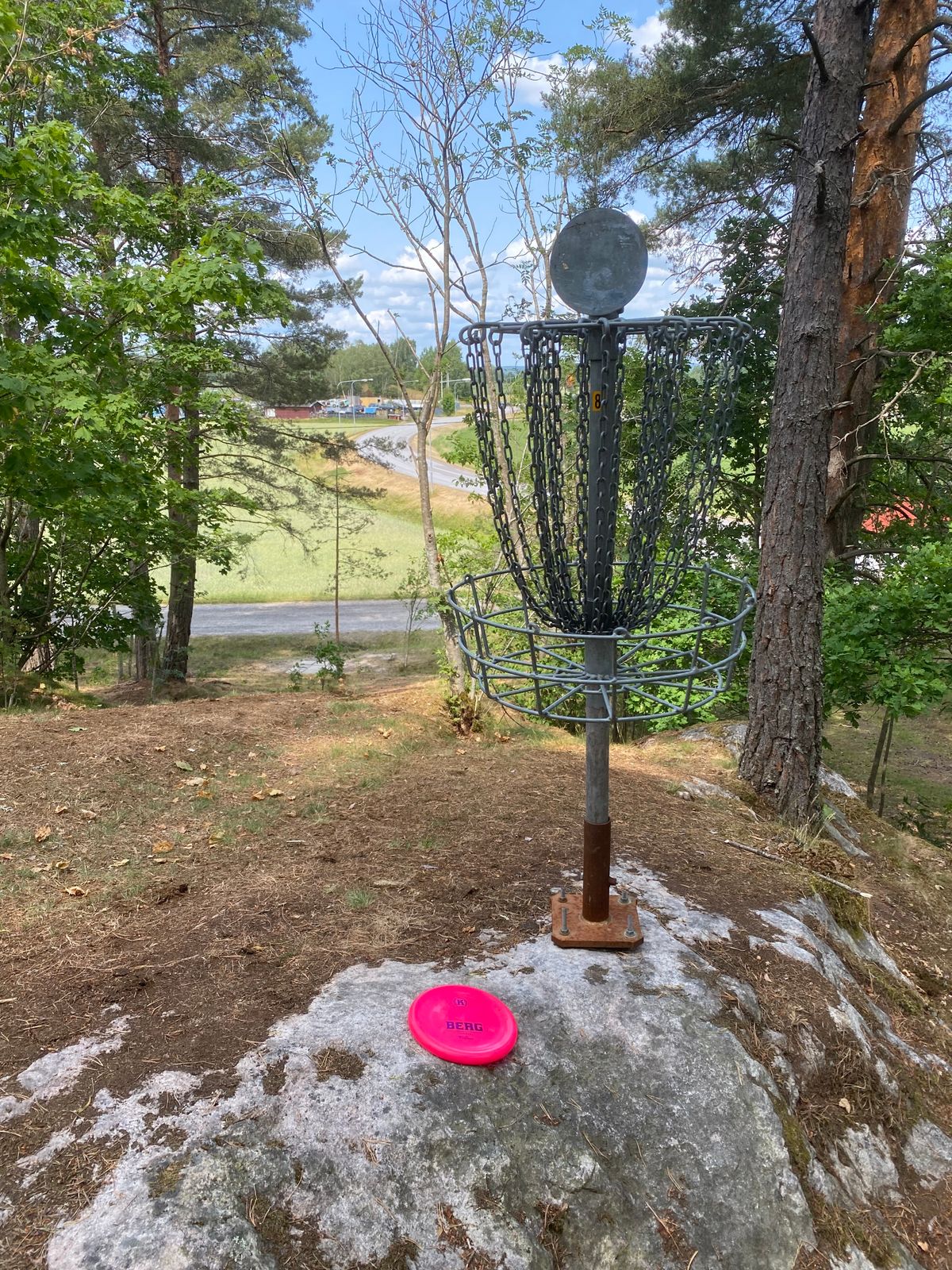 Hole #8