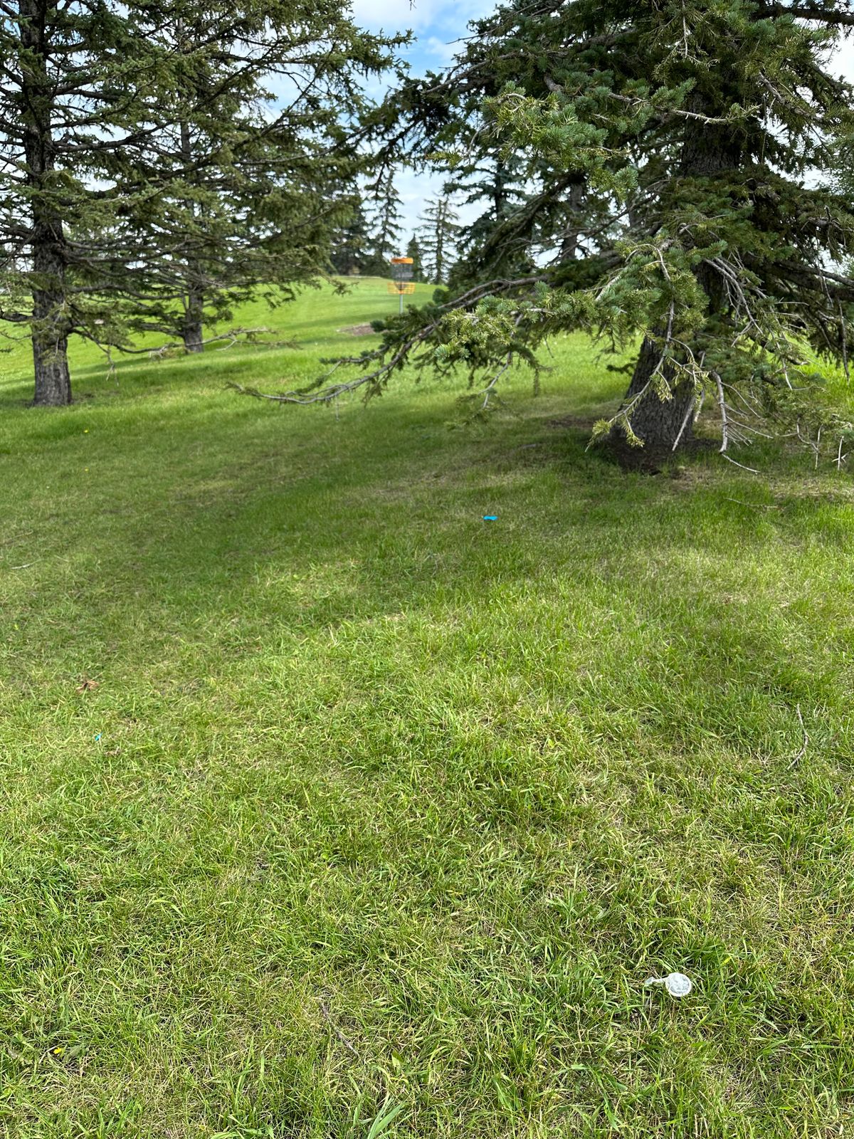 I spy with my little eye…