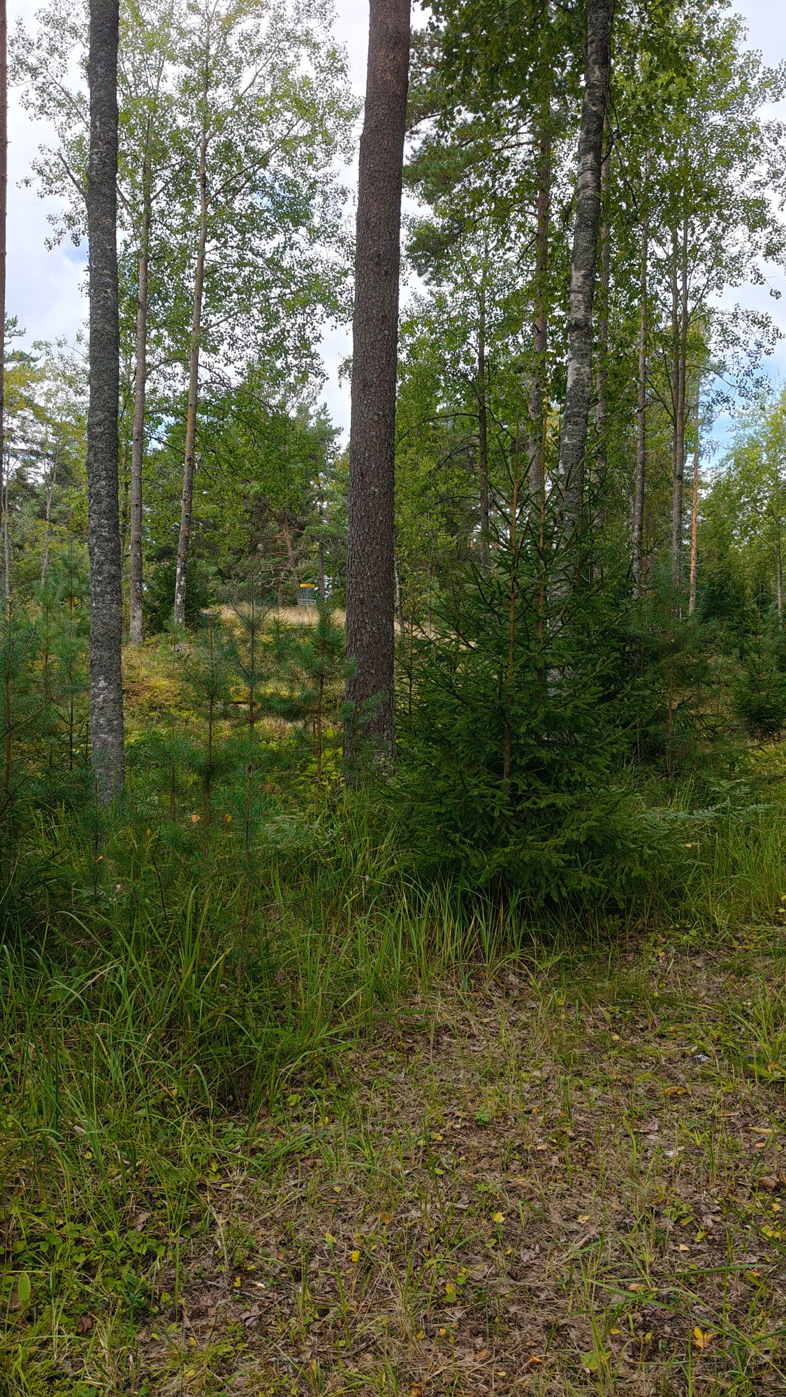 Hole 7