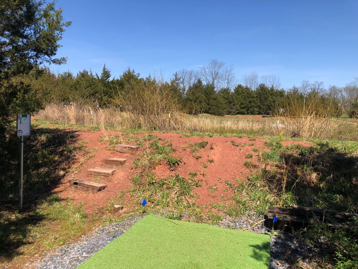 Hole 6 Short Tee