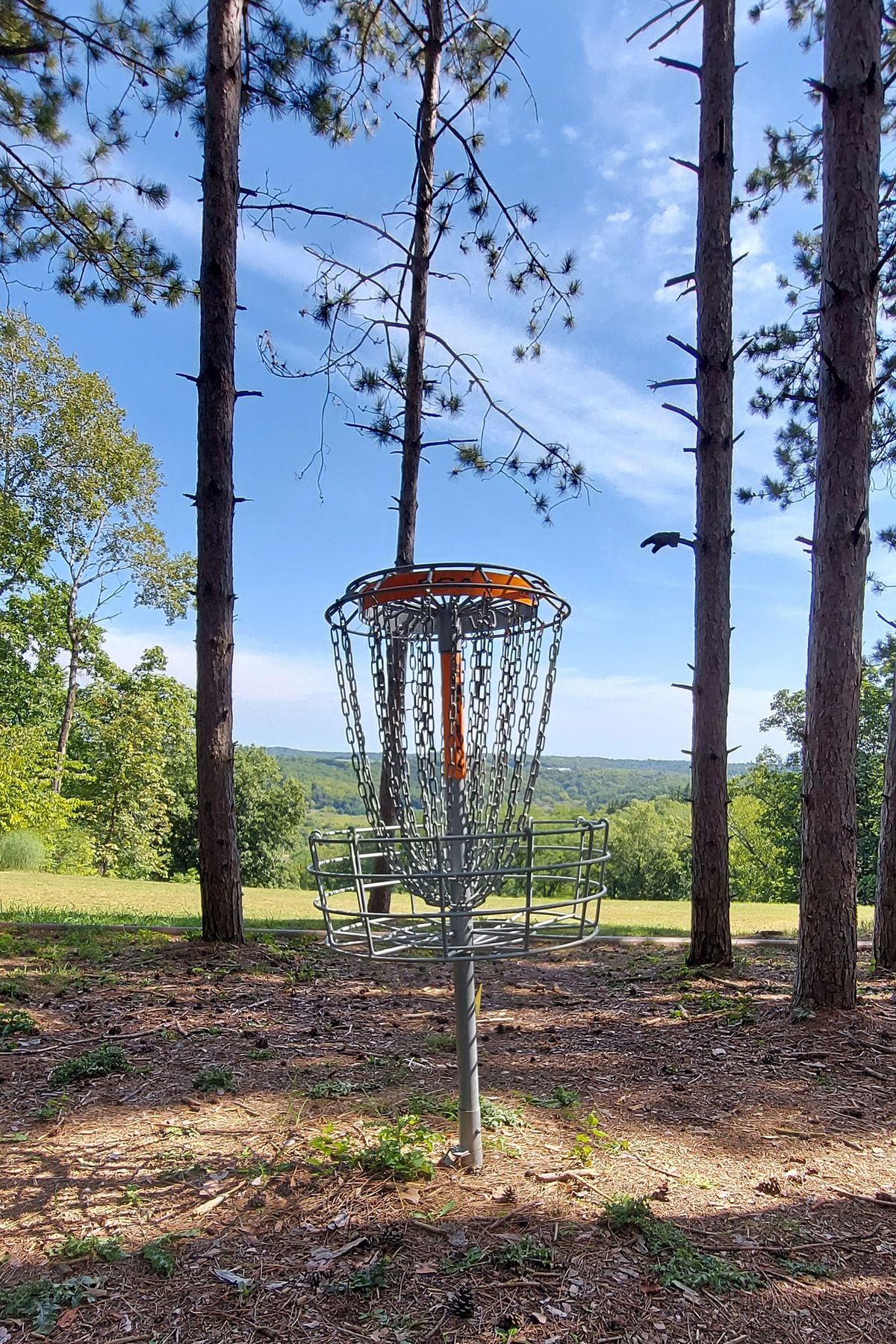 Hole #7 Basket