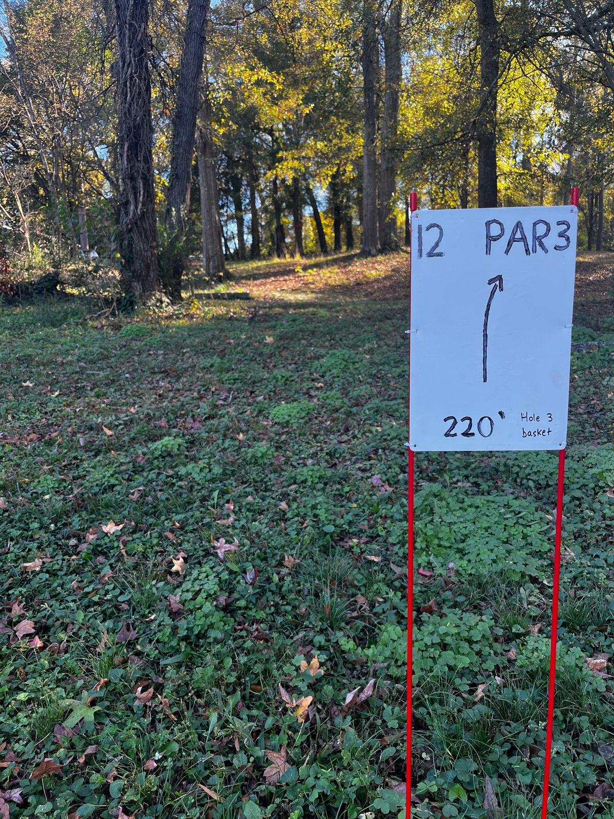 Hole 12