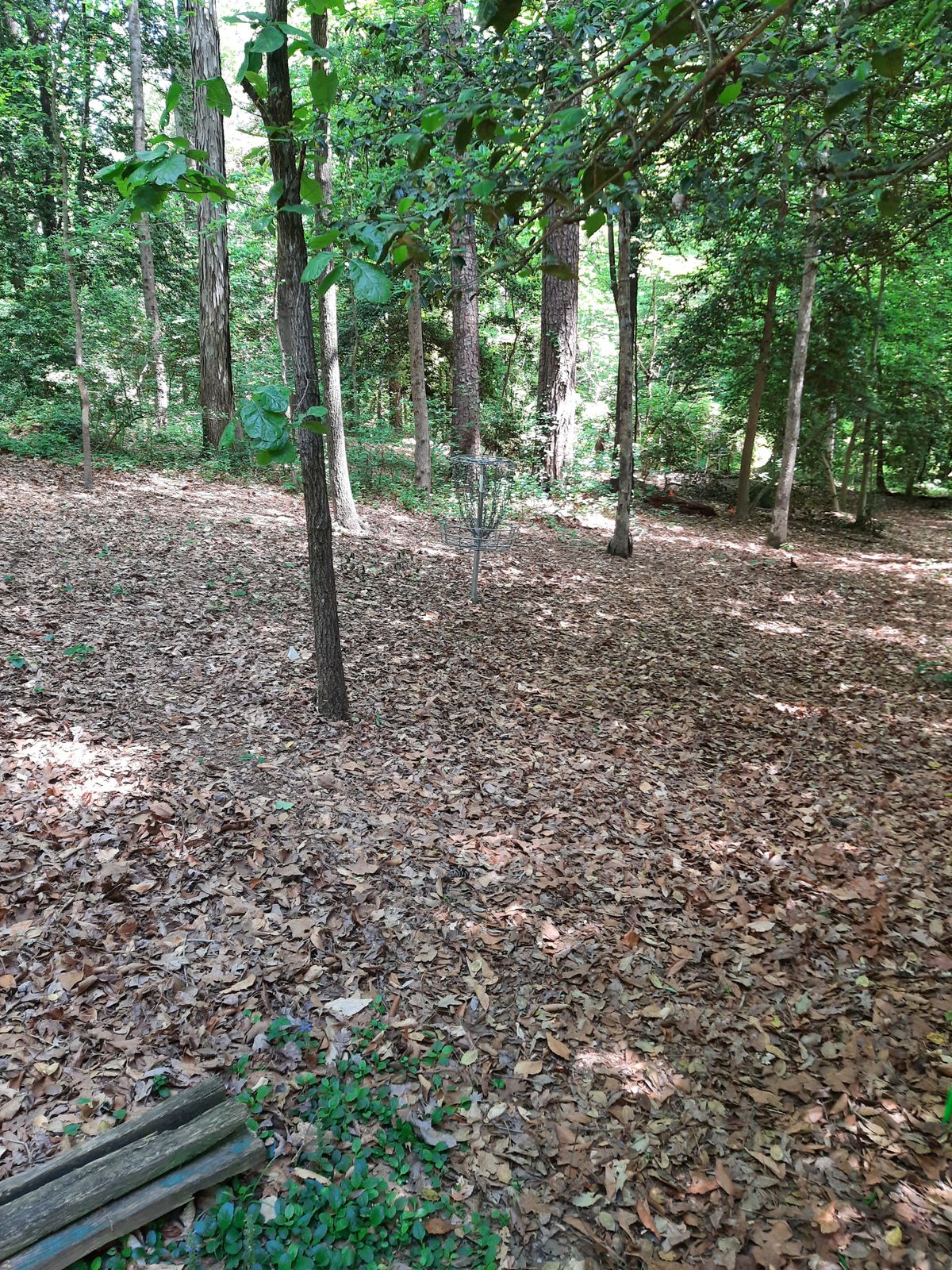 Hole 22 Green Par 3 Layout