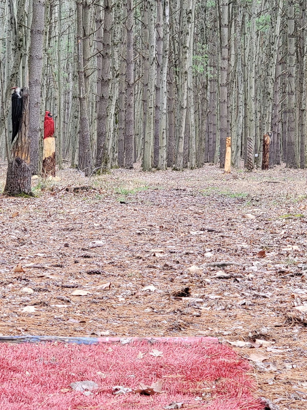 Hole F tee pad