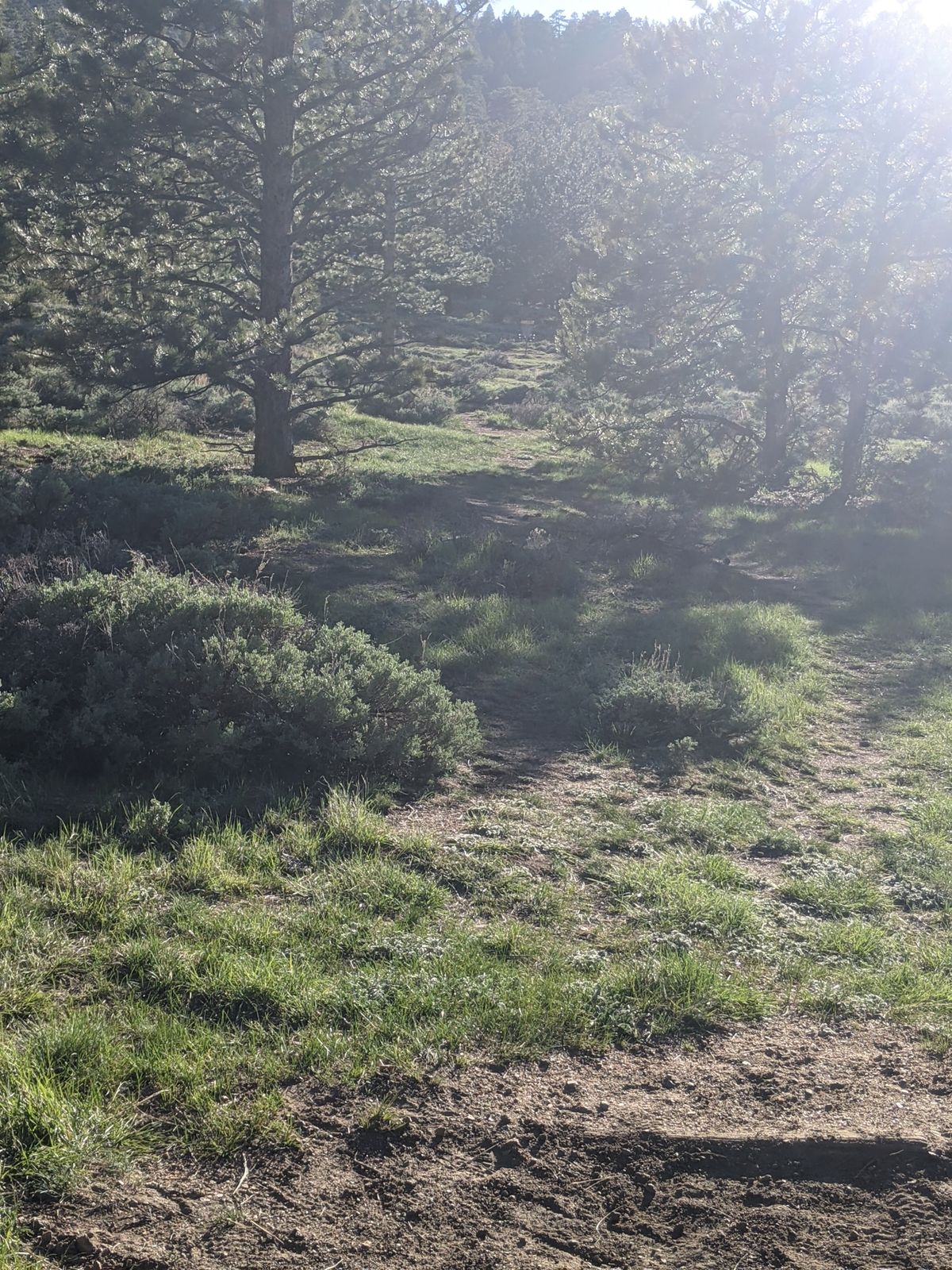 Hole 3