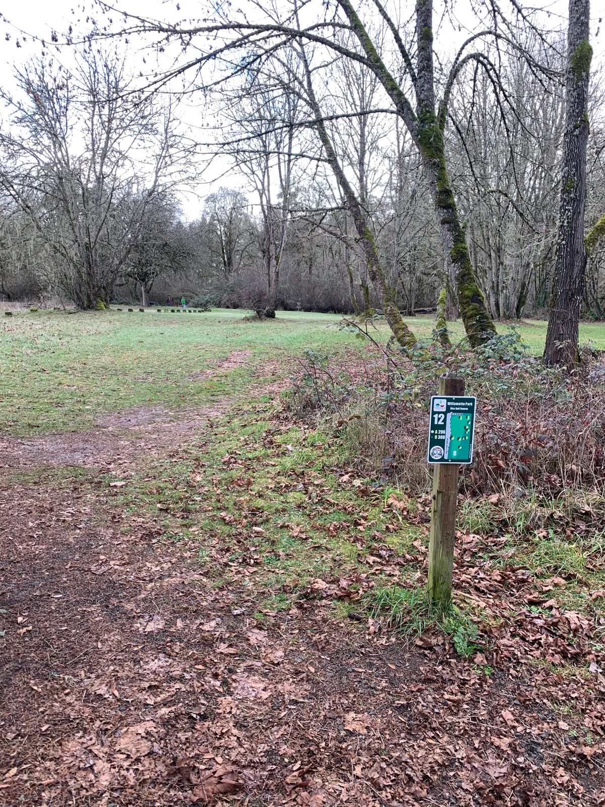 Hole 12