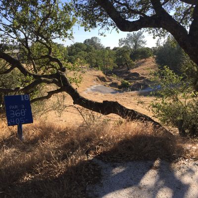 Hole 18 Tee
