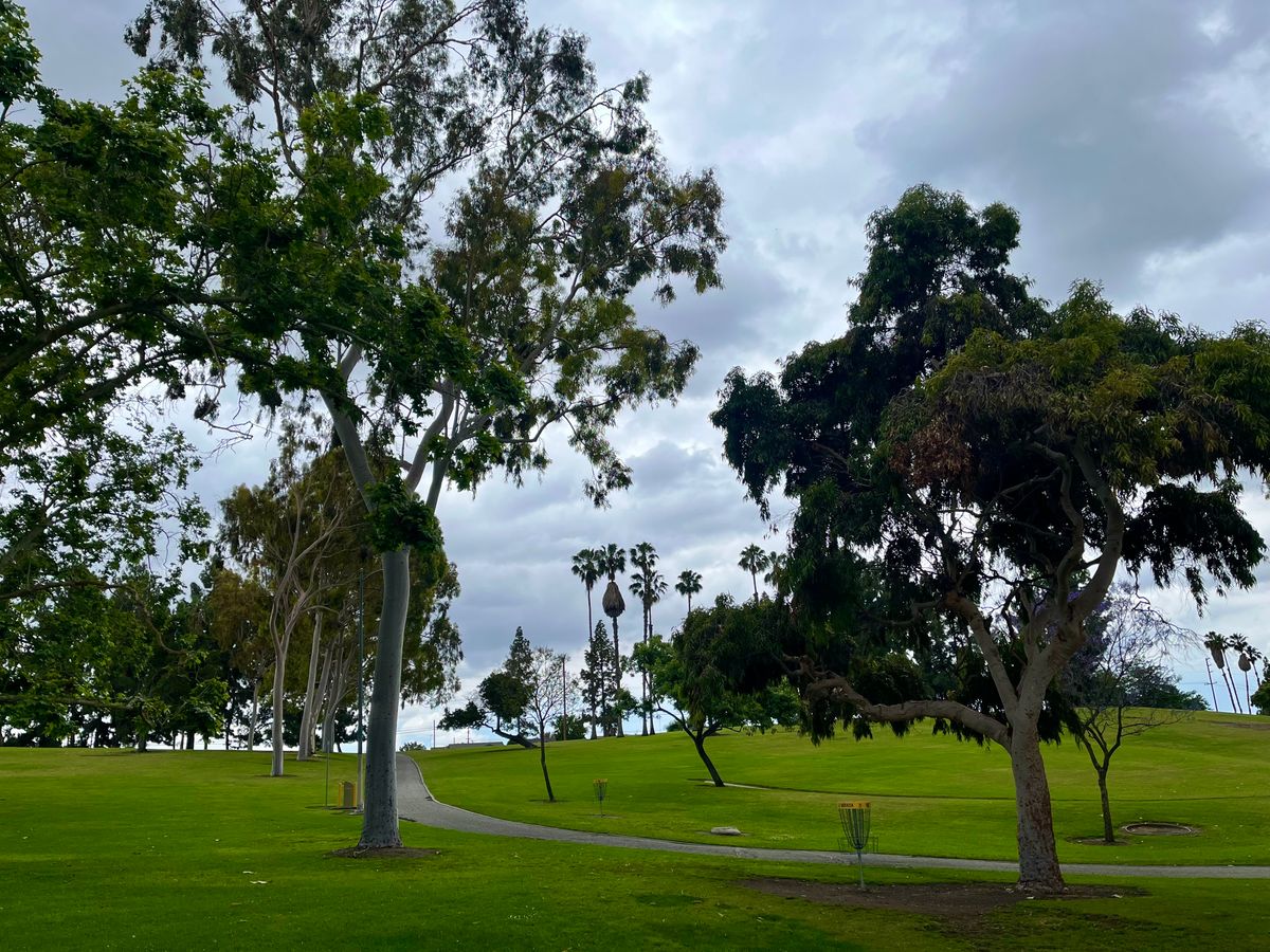 Hole 2 basket