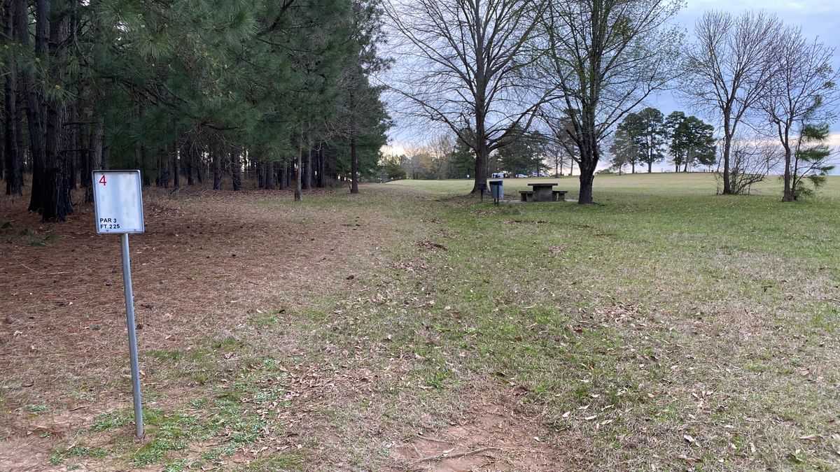 Hole 4
