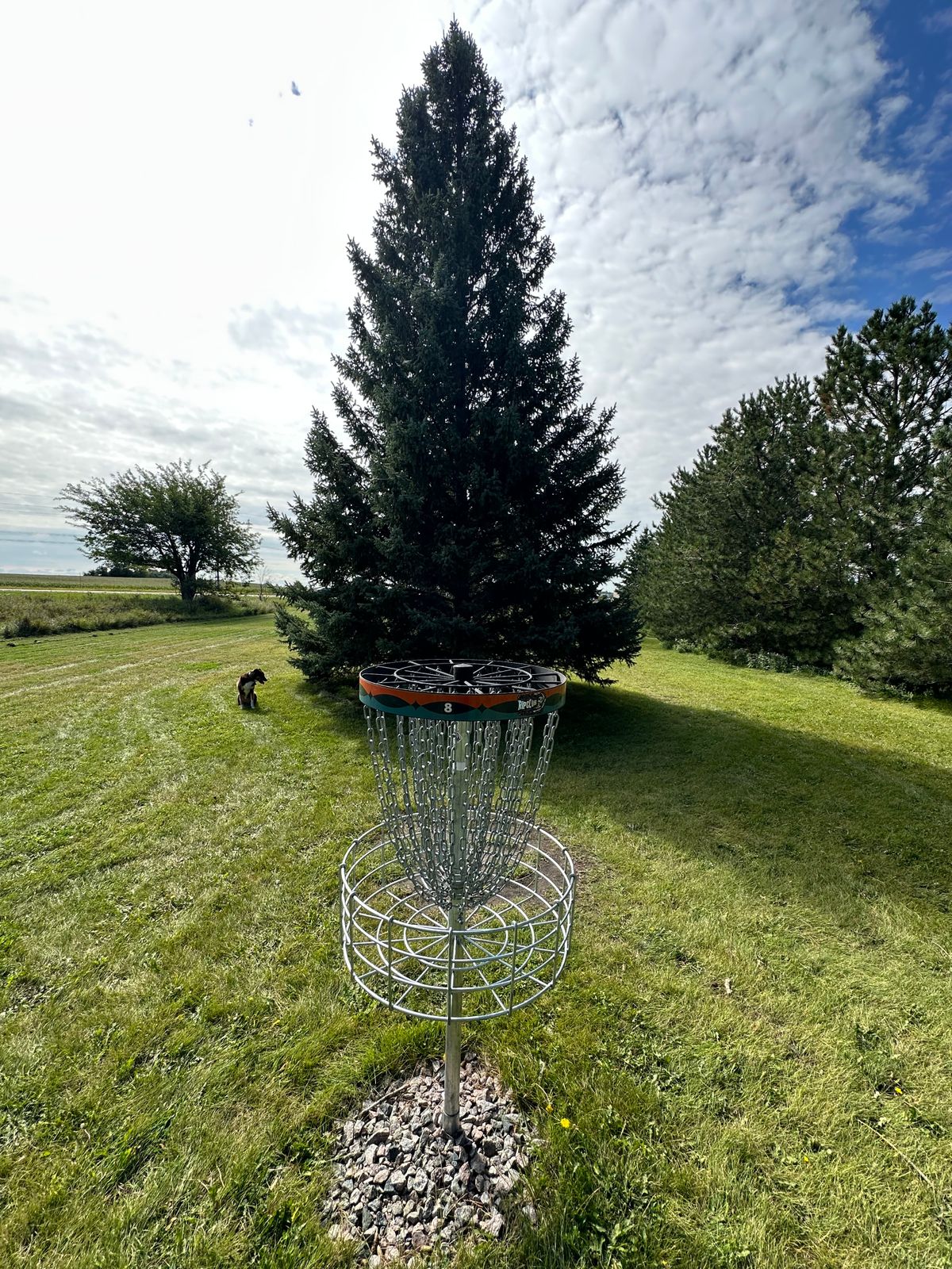 Hole 8