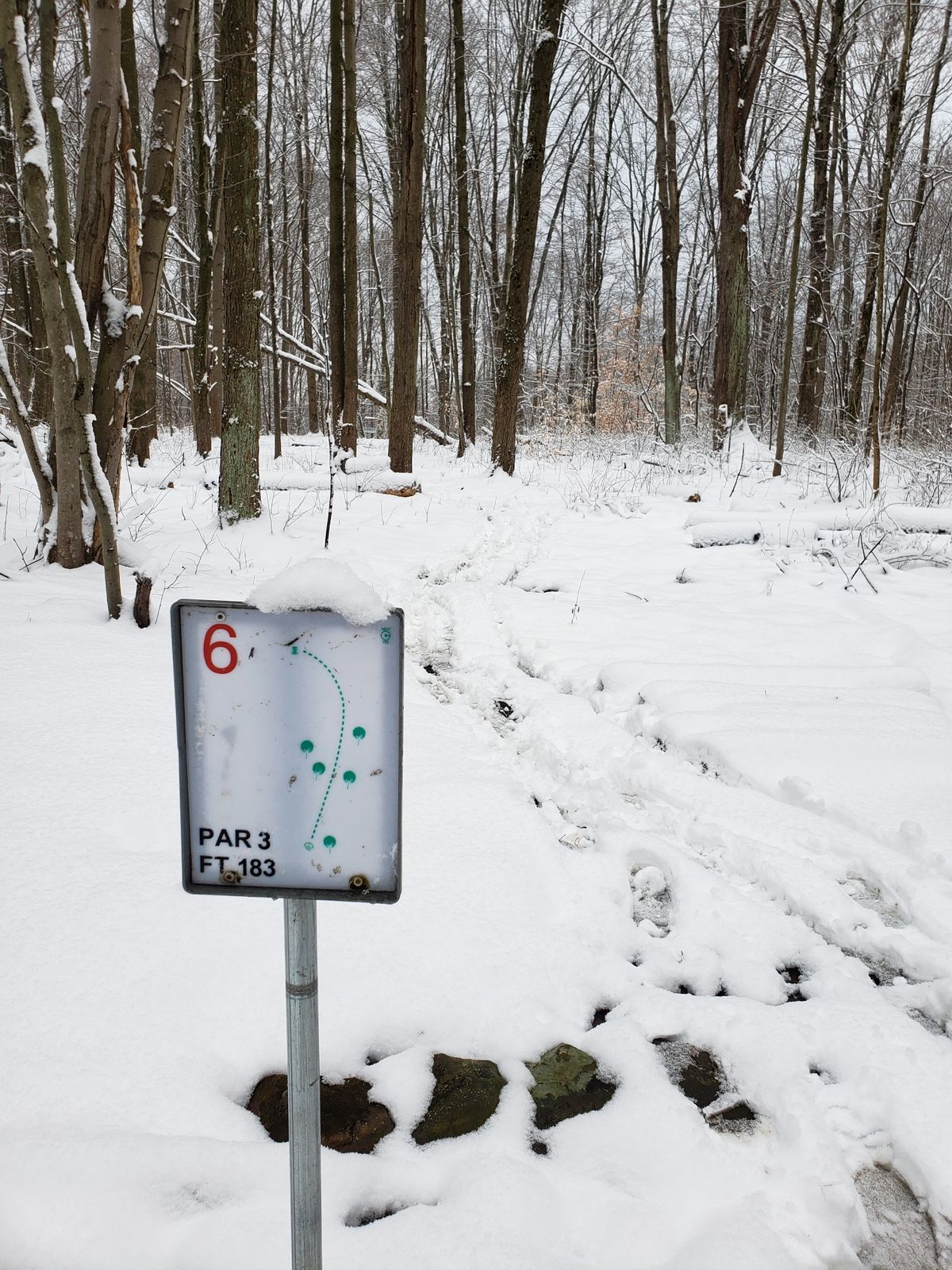 6 tee