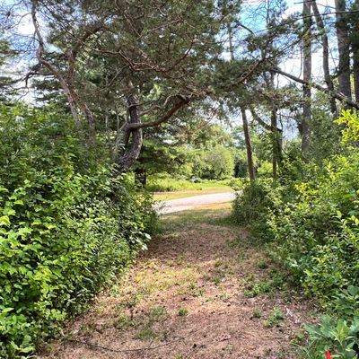 Hole 2 - Red Tee (short). 