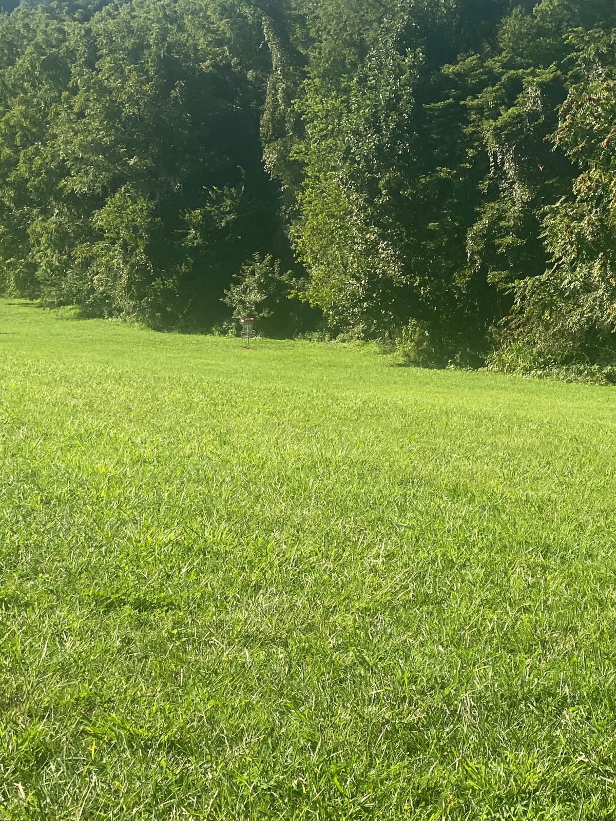 Hole 8 fairway
