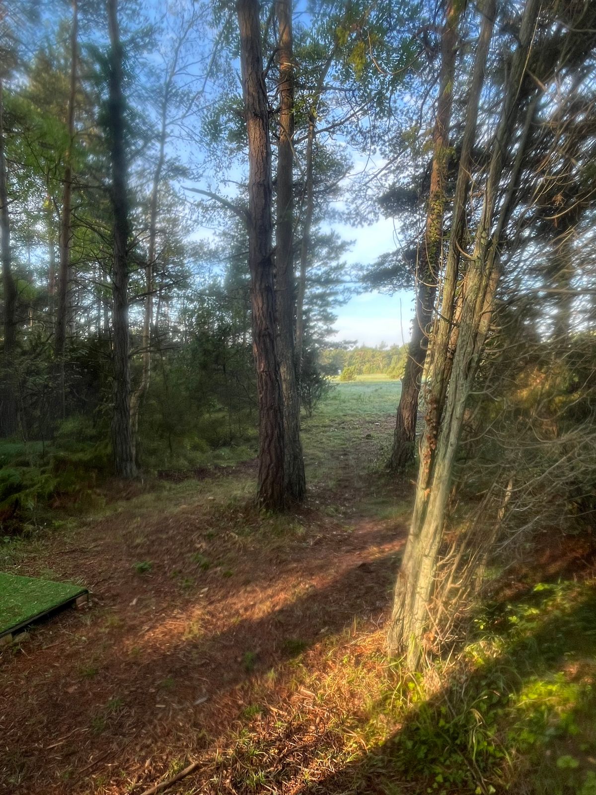 Hole 4