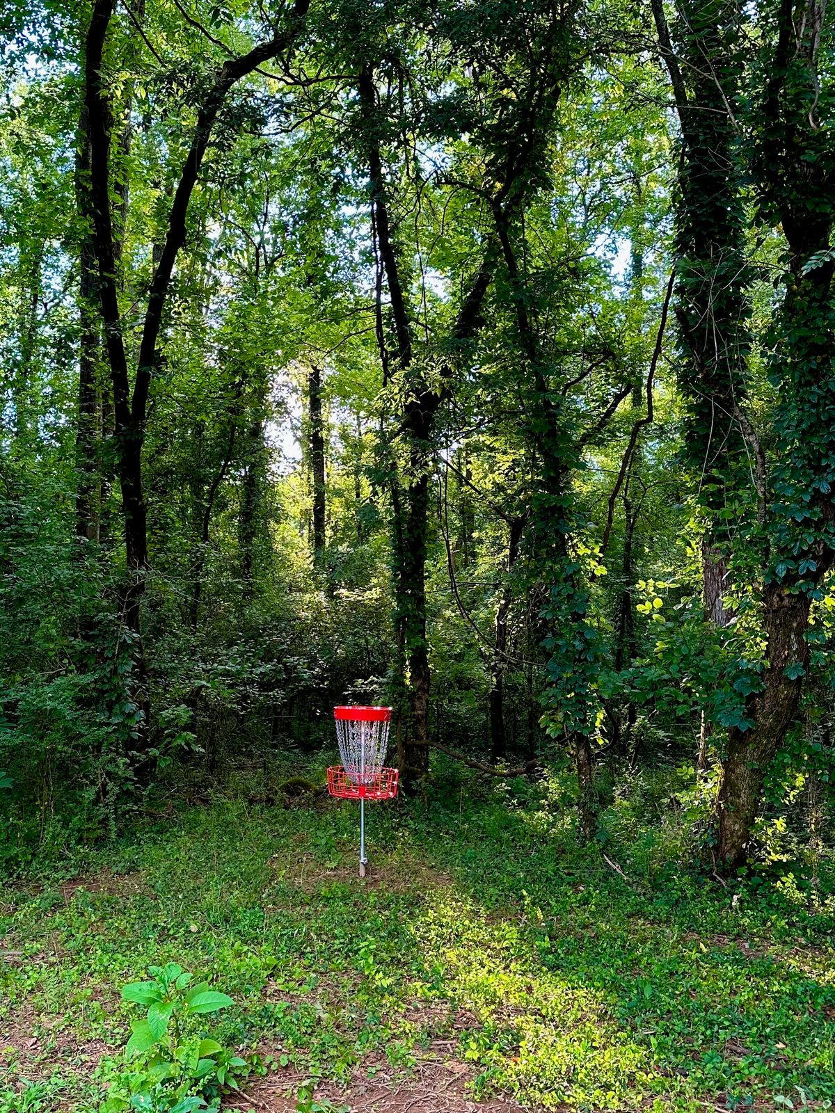 Hole 10 (short)