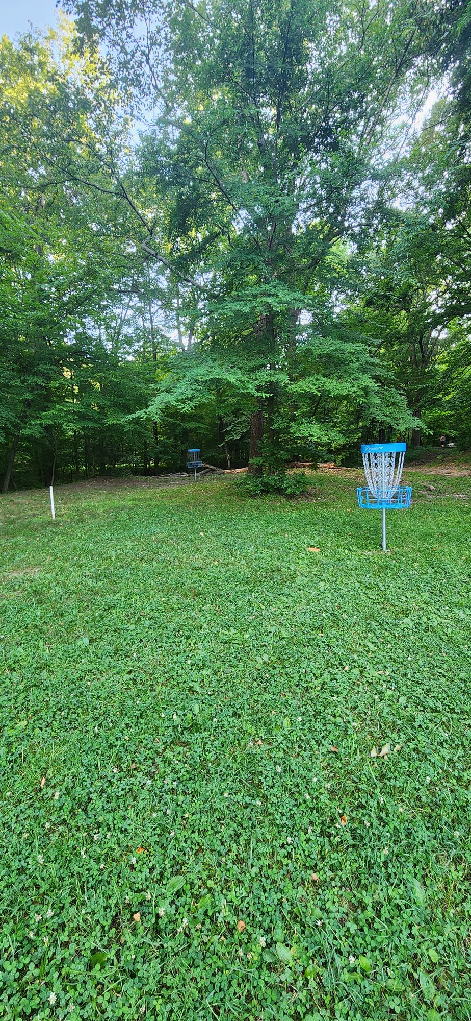 Hole 6 Short and Long Targets