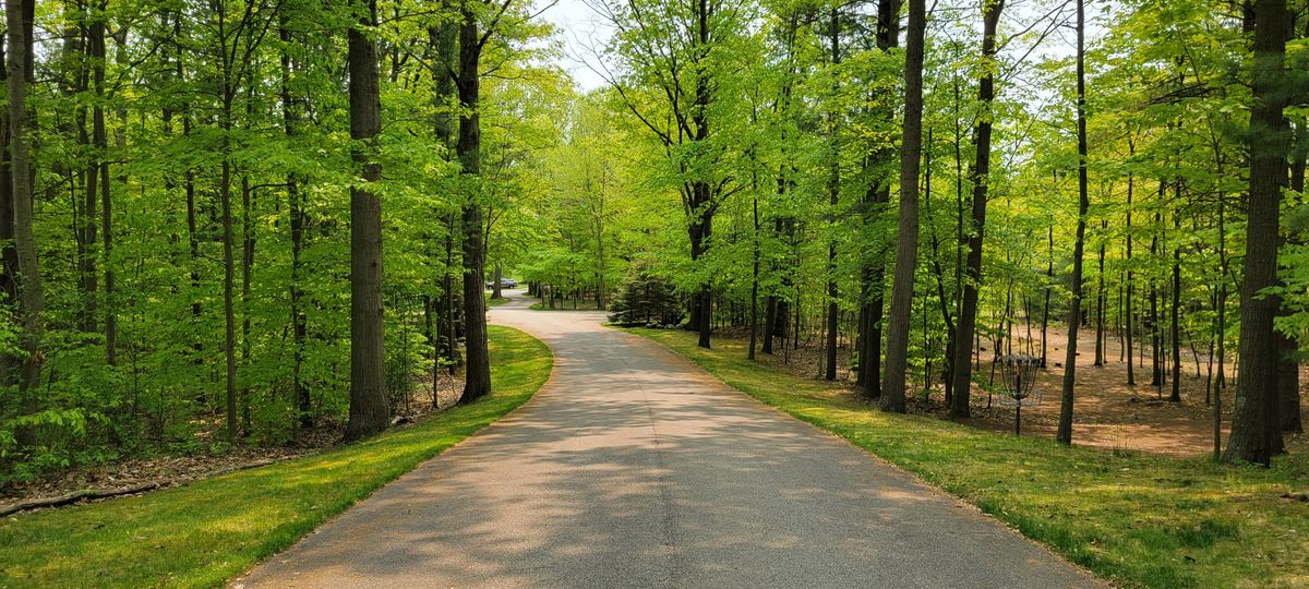 Hole 4 tee
