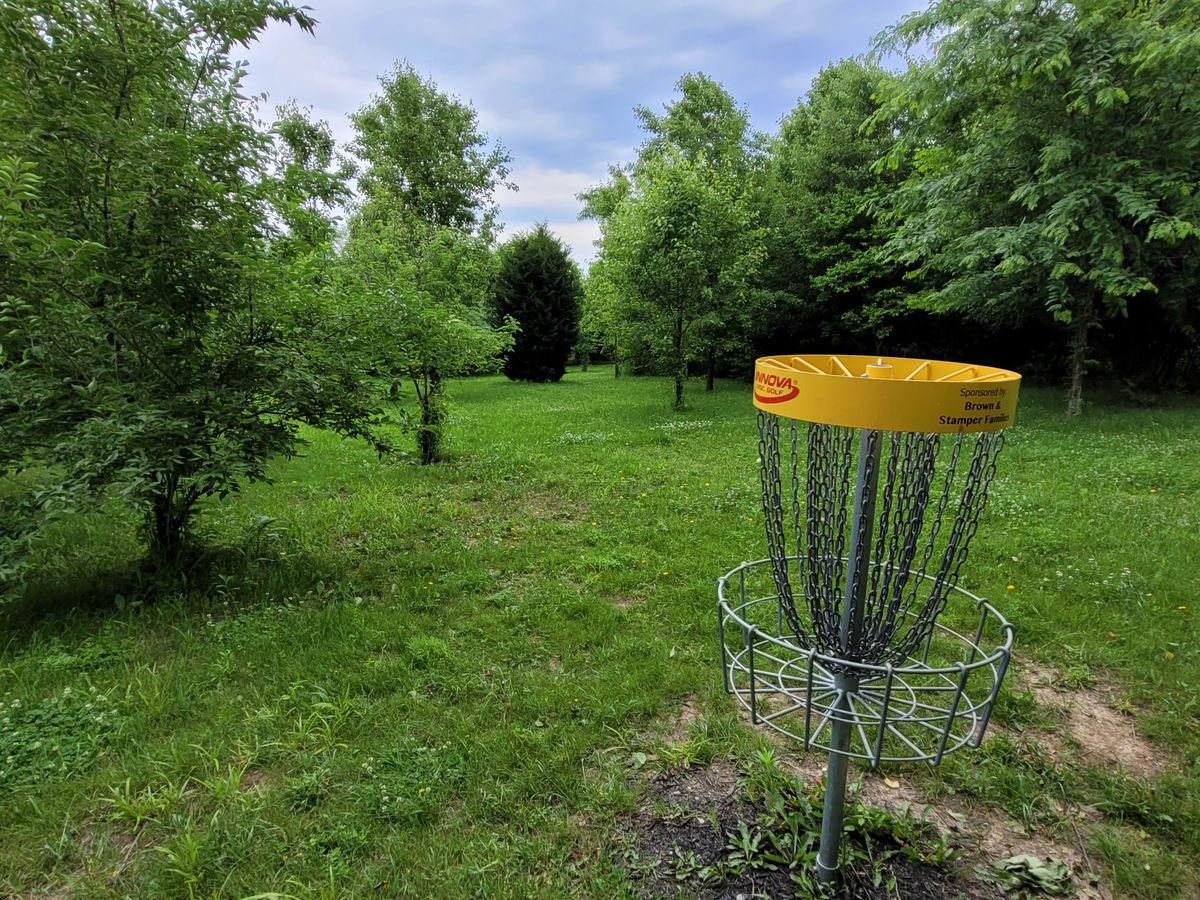 Hole 17 main basket to tee