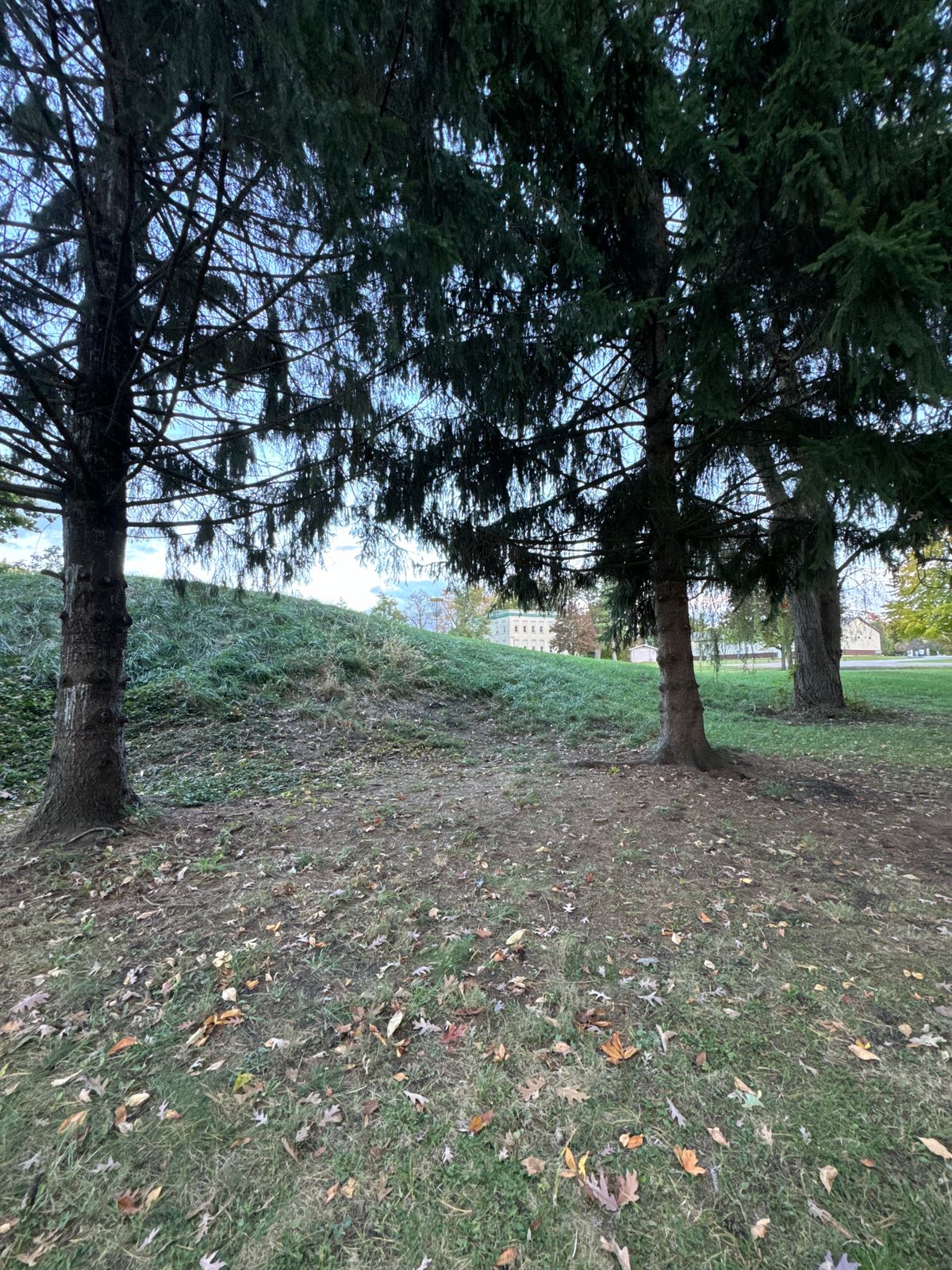 6 White Fairway (looking at basket)