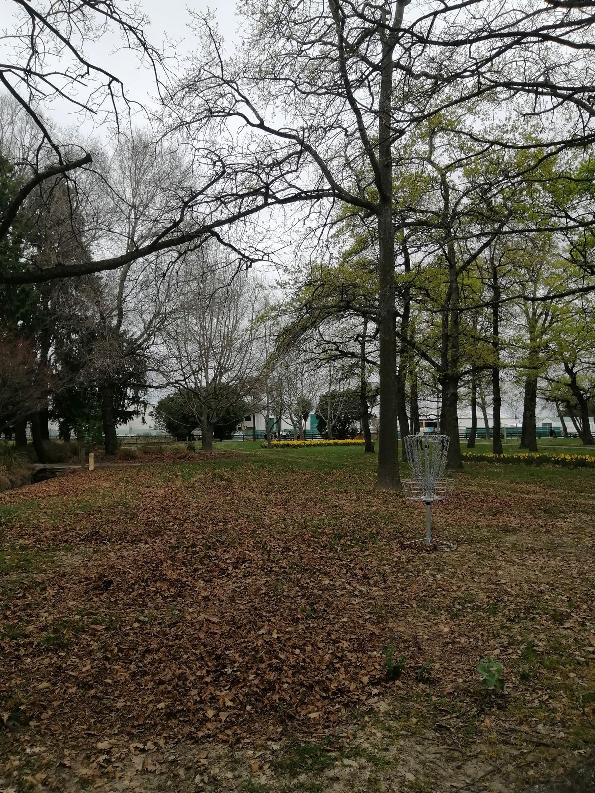 Hole 9 basket location