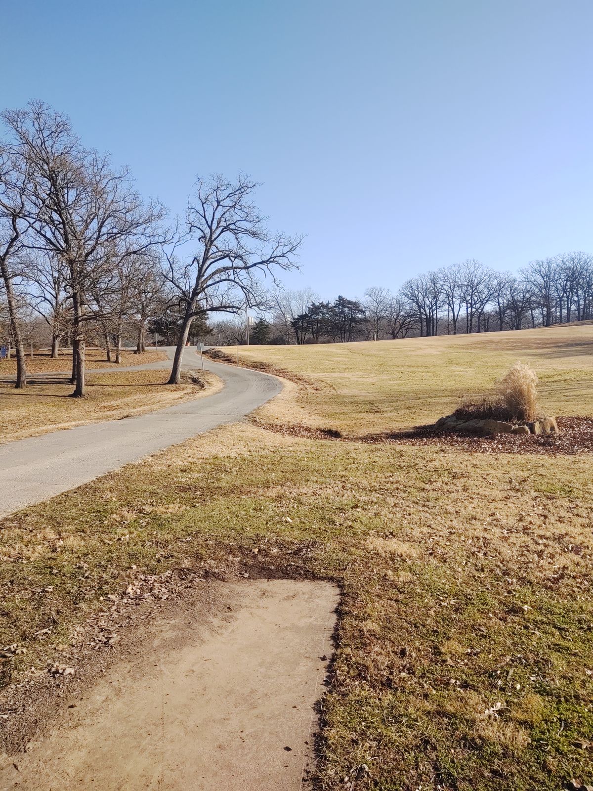 Hole 7 tee
