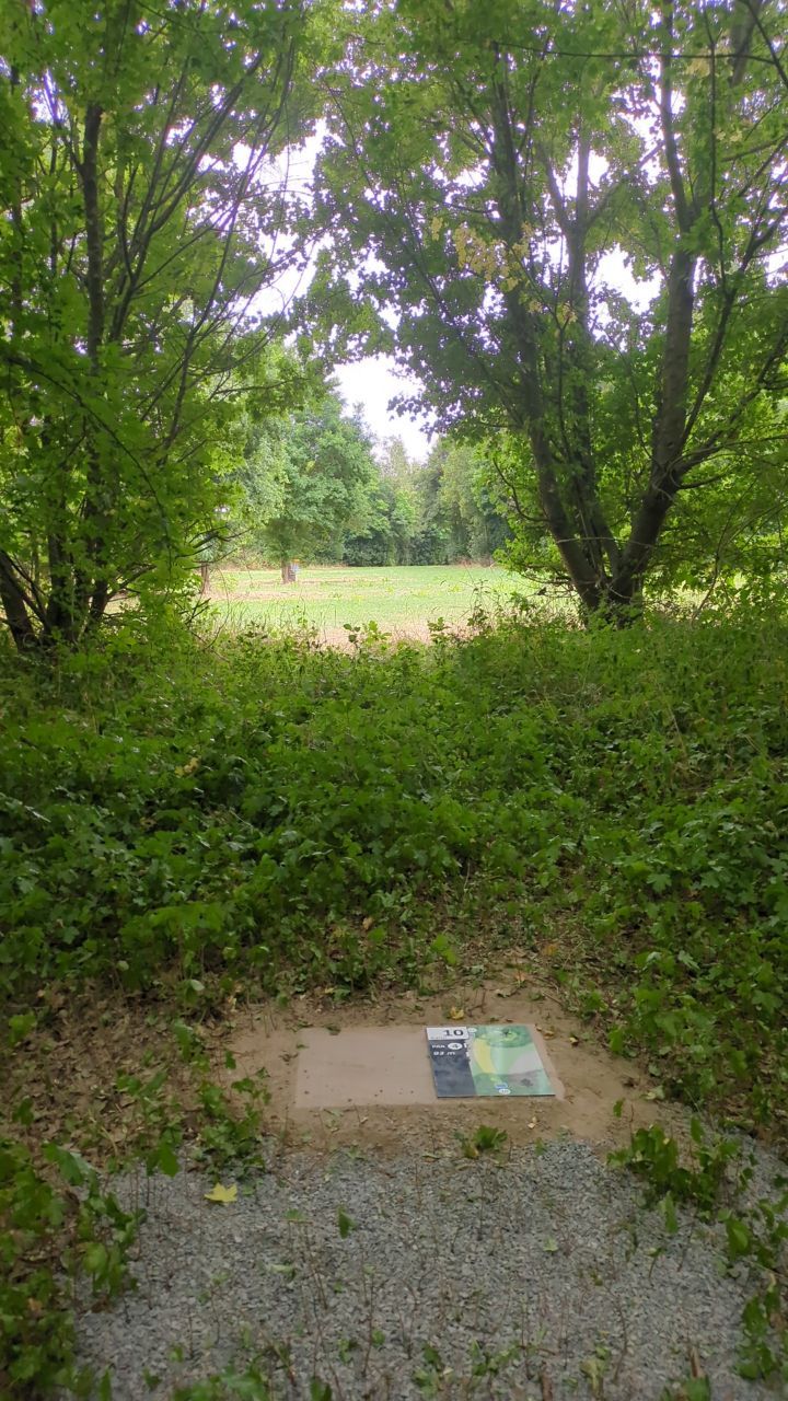 Tee Bahn 10