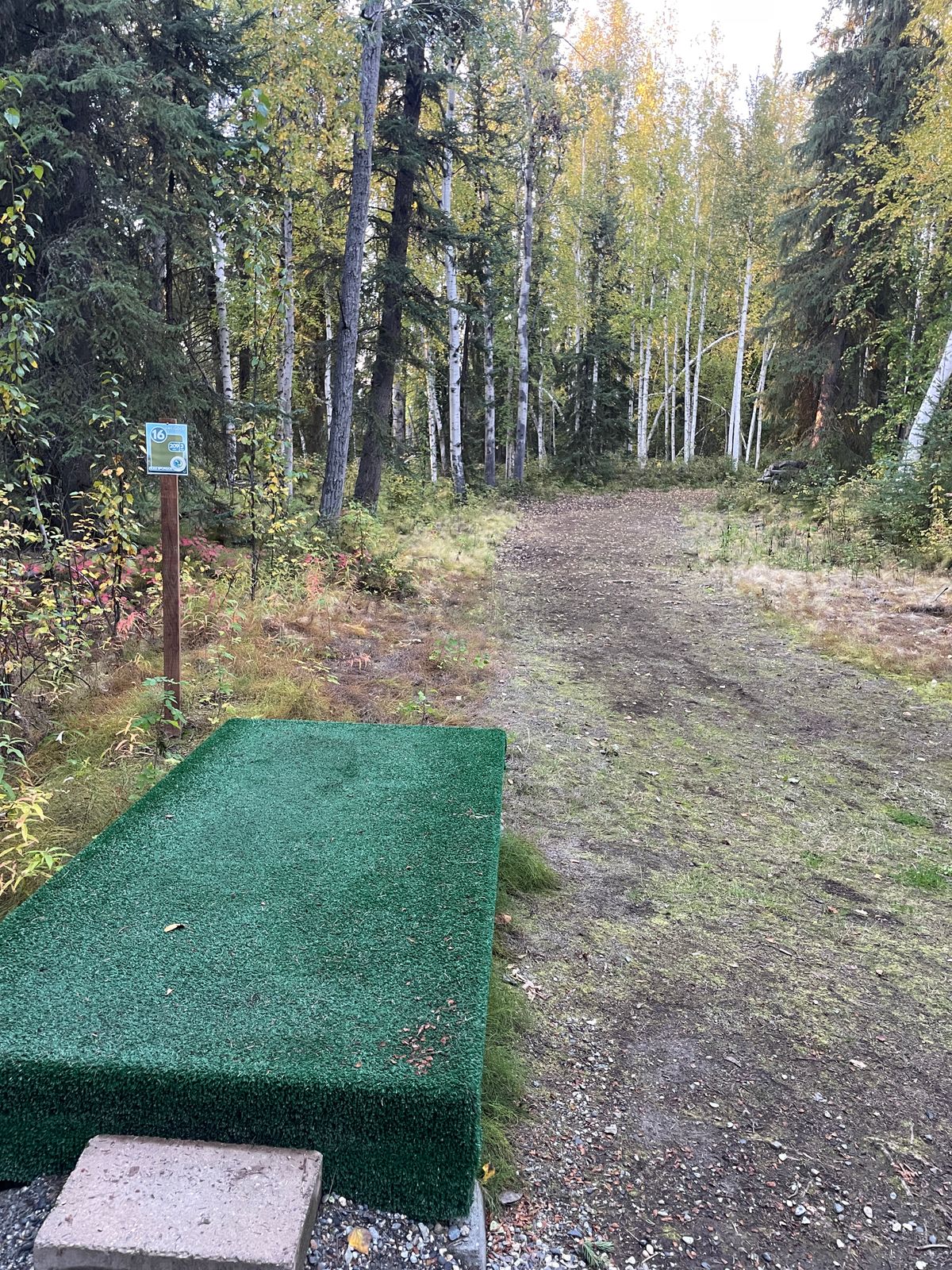 Hole 16 Tee Pad