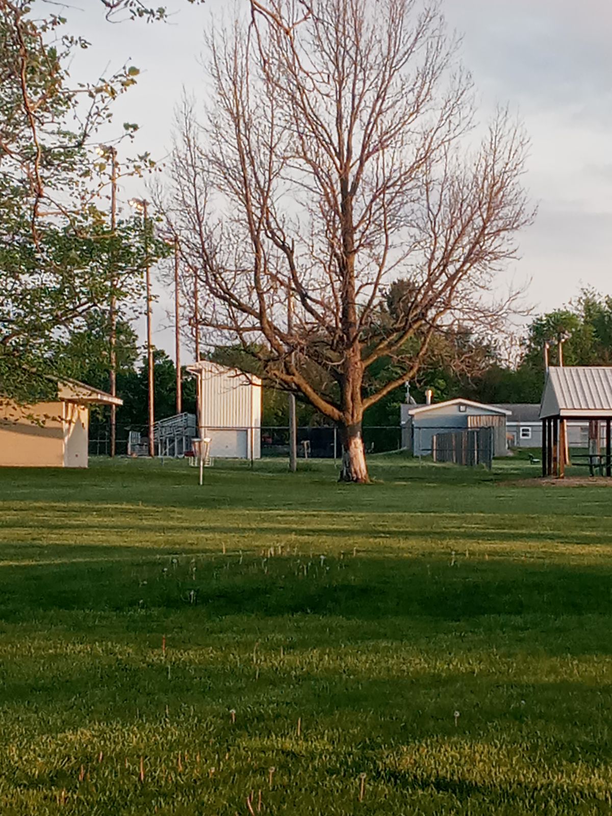 Hole four basket