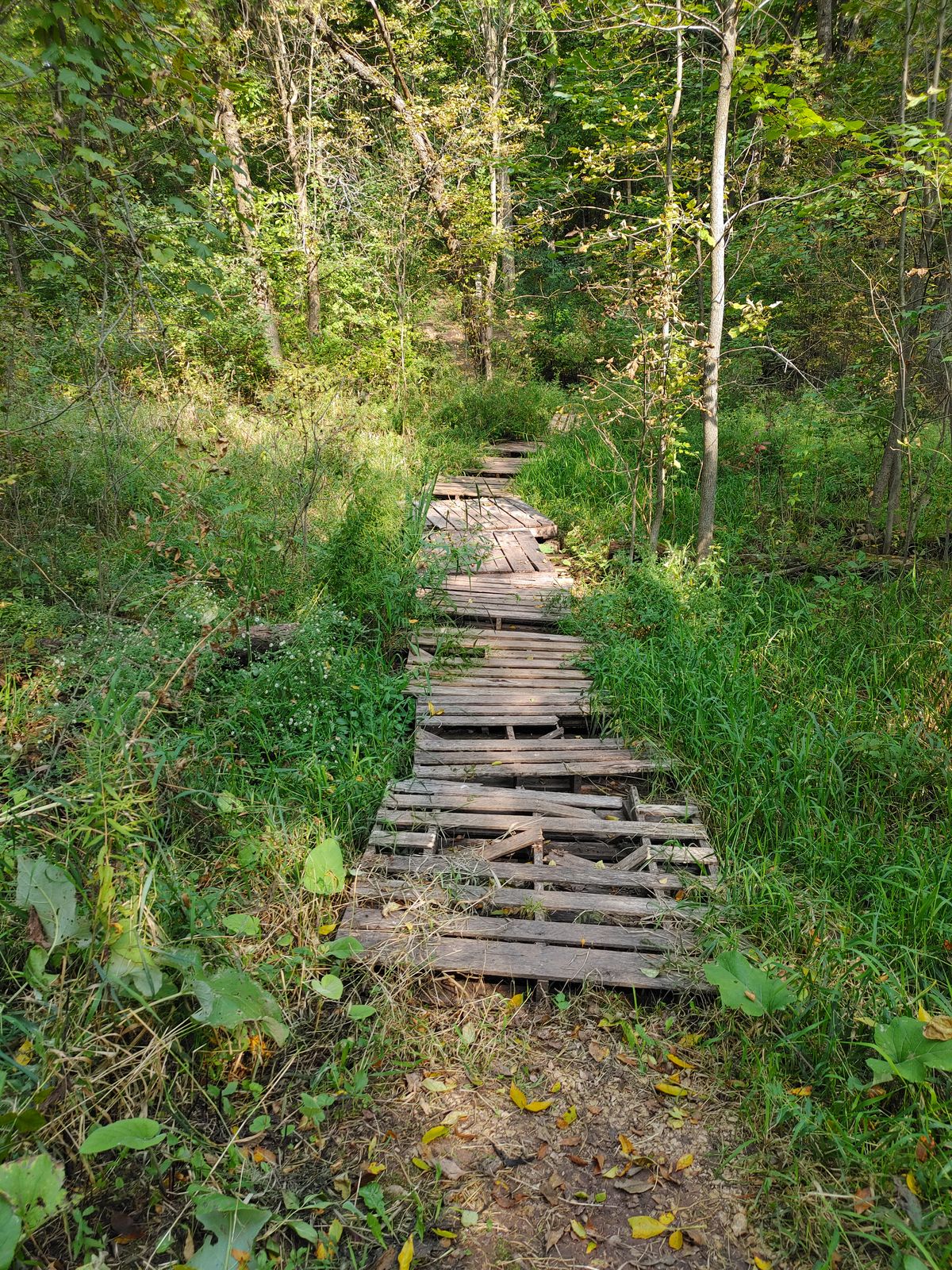 Bridge to hole 2
