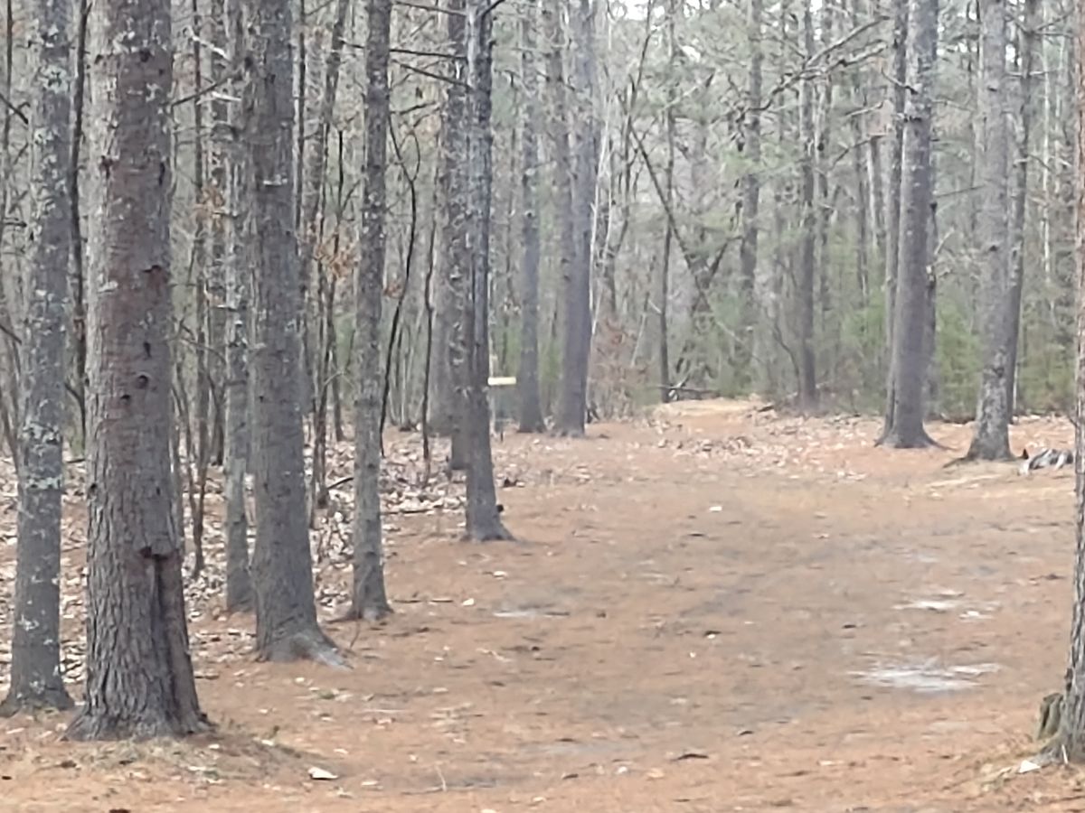 Hole 10