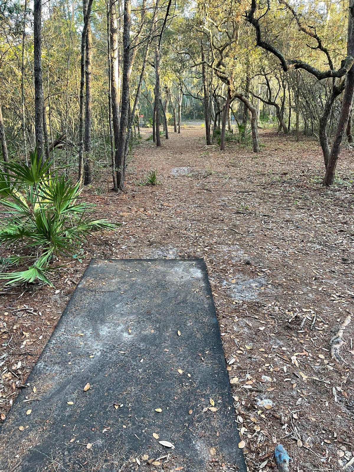Hole 11