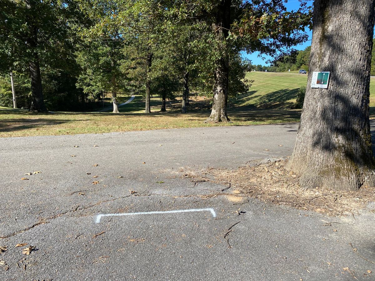Hole 5 tee pad (white)