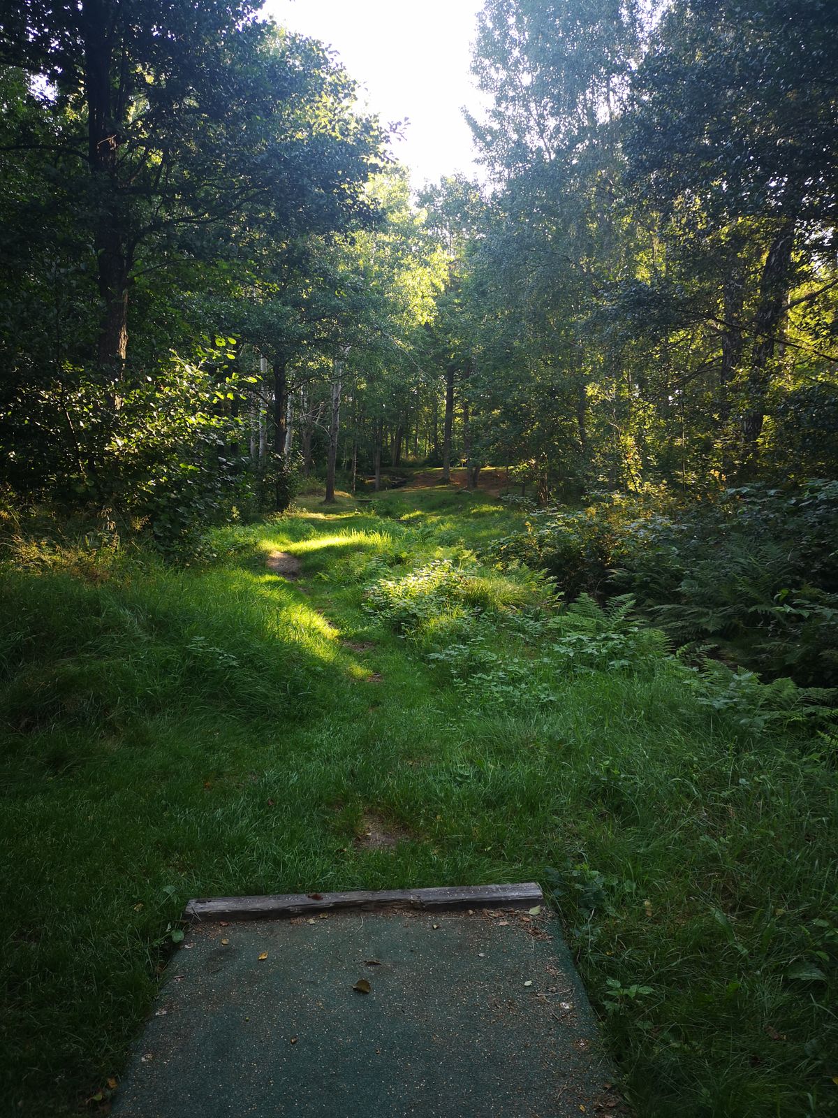 Tee 3