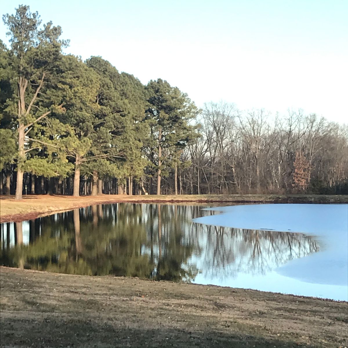 Beautiful pond next to hole 7 and 8. Half frozen in this picture.