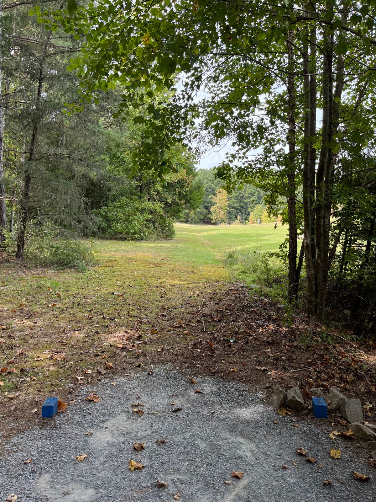 Hole 12: blue tee