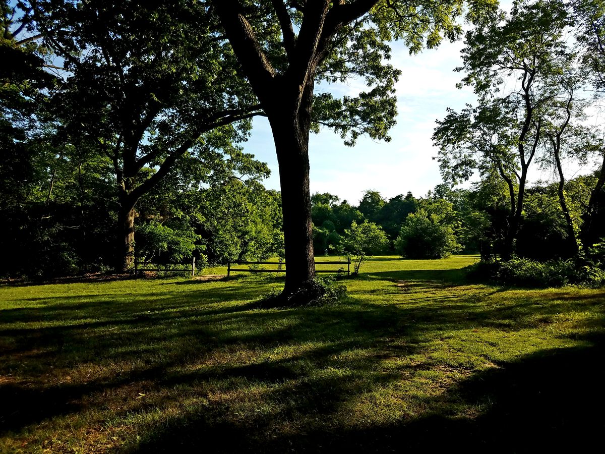 Wolf Hill #9 (photo taken to the right of the tee pad)