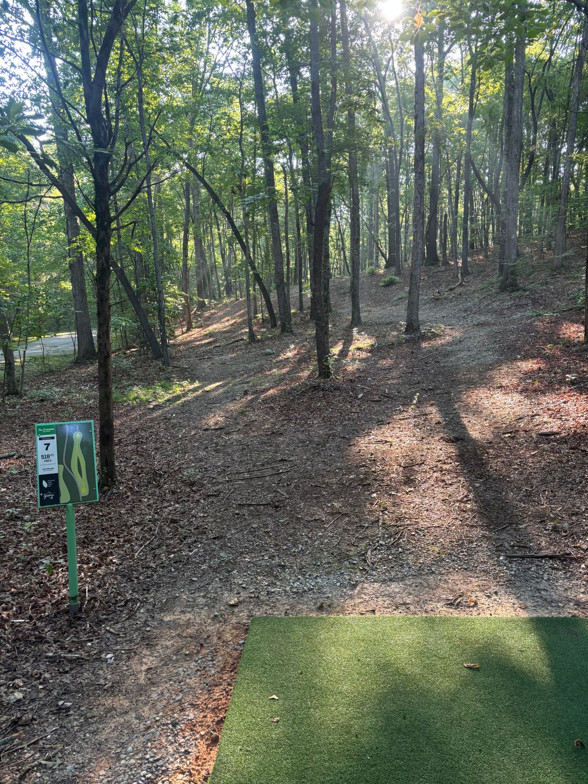 Hole 7