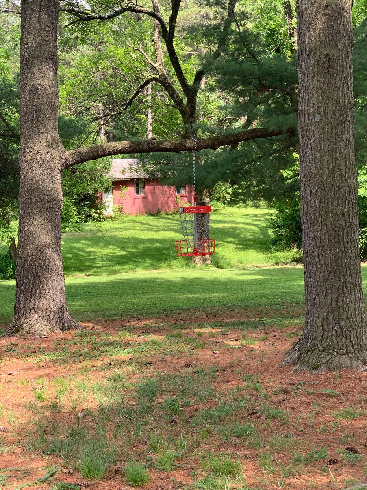 Hole 16 basket