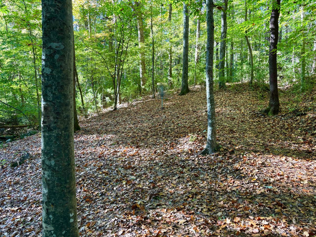 Hole 2 approach