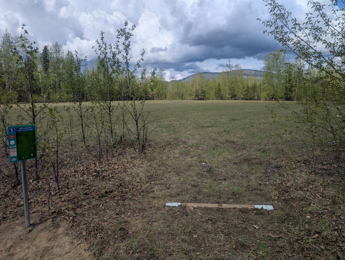 Wolverine Hole 1Wo