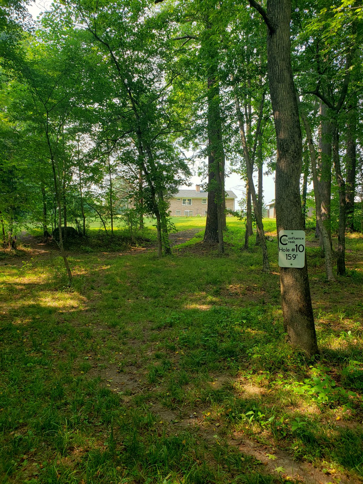 Hole 10 from tee pad. A shot straight up hill to a raised basket which sits in a field.