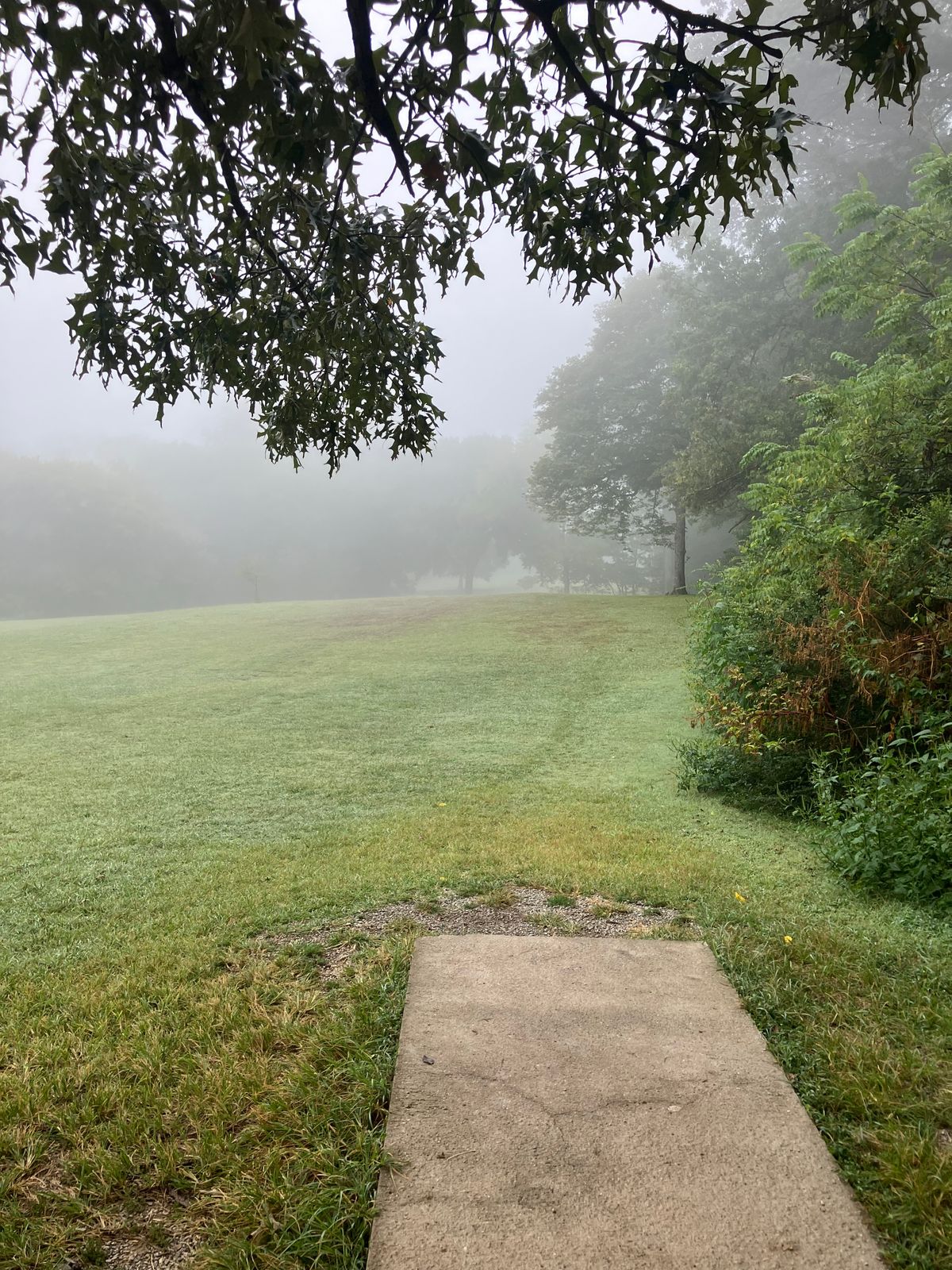 Foggy Hole #3